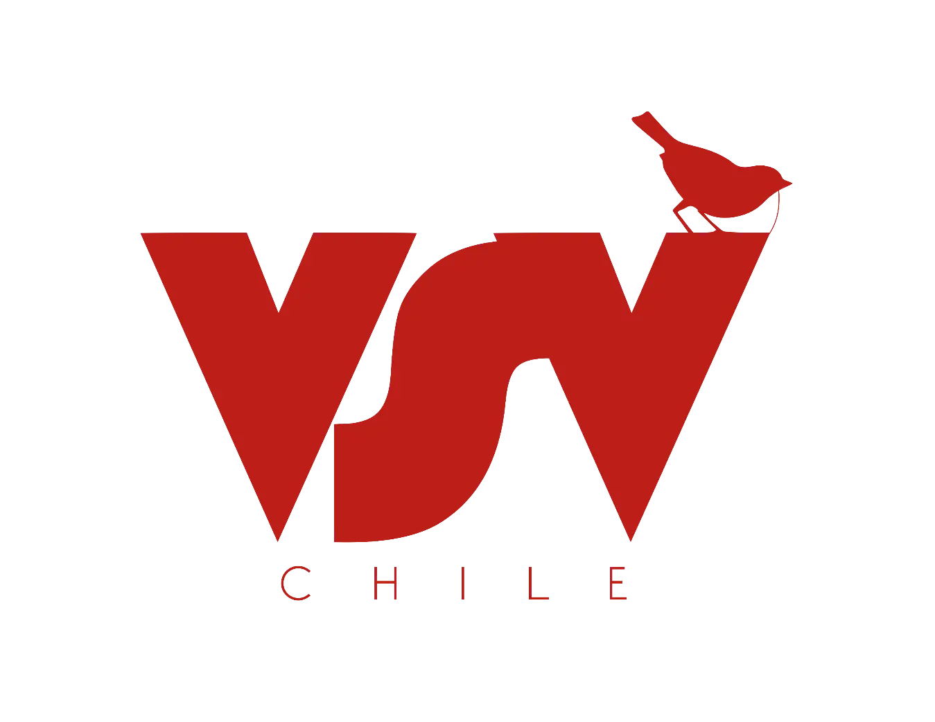 VSV Chile